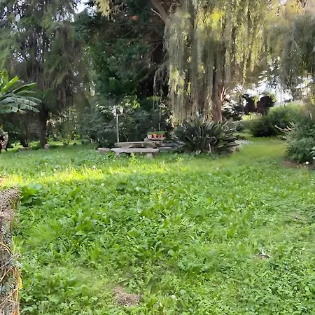 Corn House